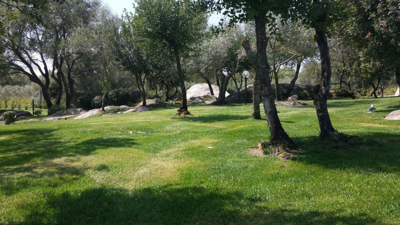 Bed & Breakfast Majore *